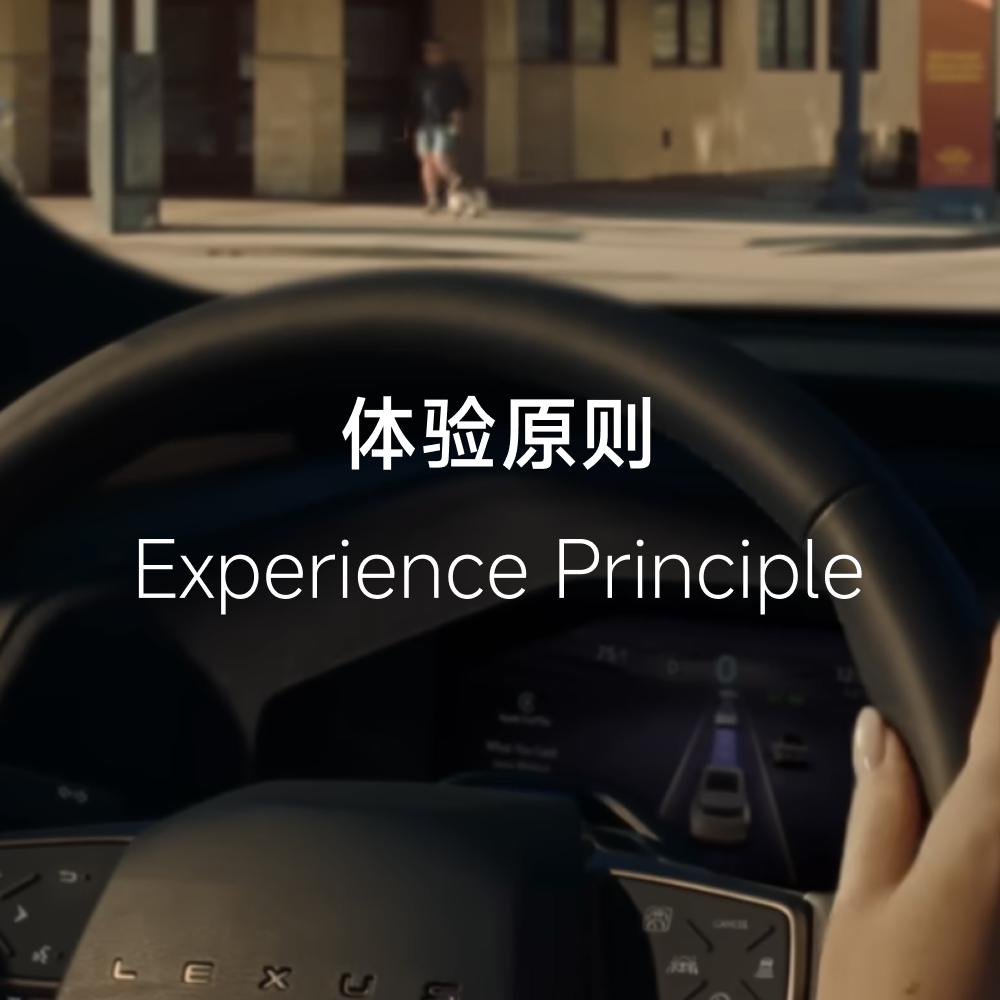 体验原则 Experience Principle