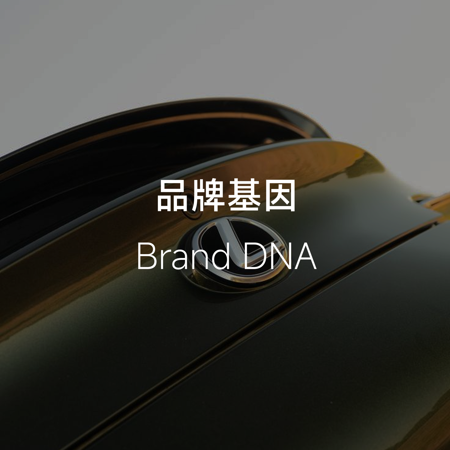 品牌基因 Brand DNA